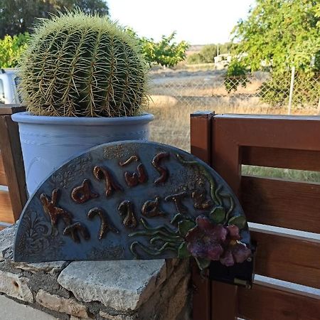 Cactus Home Καλαμάκι Εξωτερικό φωτογραφία
