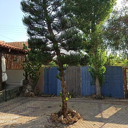 Cactus Home Καλαμάκι Εξωτερικό φωτογραφία