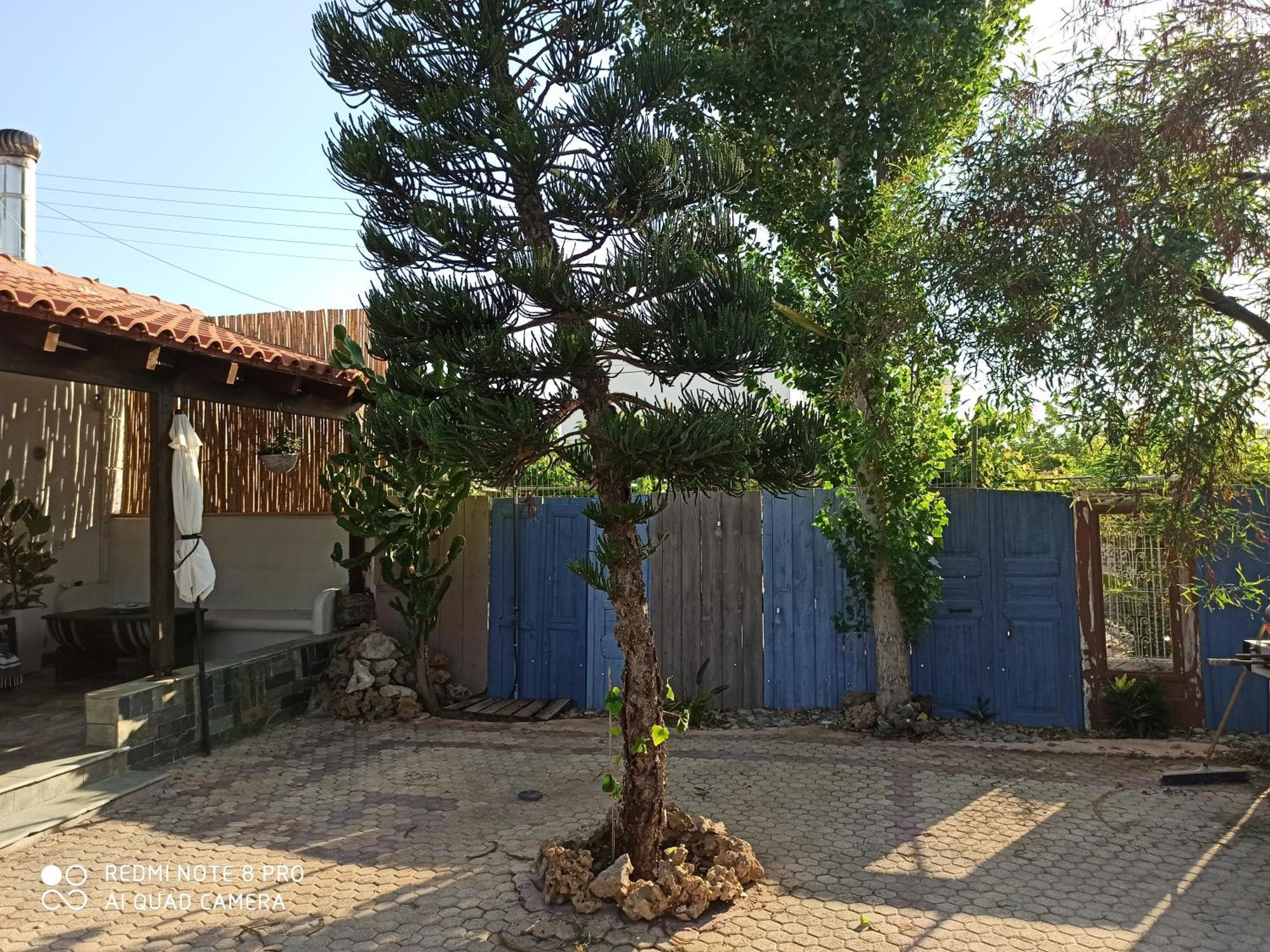 Cactus Home Καλαμάκι Εξωτερικό φωτογραφία