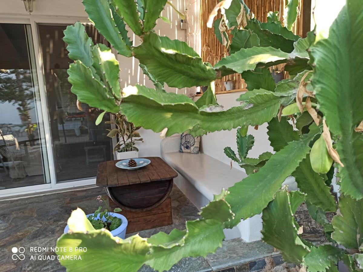 Cactus Home Καλαμάκι Εξωτερικό φωτογραφία