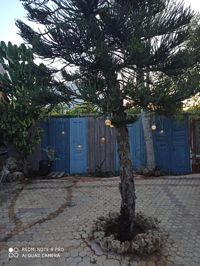 Cactus Home Καλαμάκι Εξωτερικό φωτογραφία