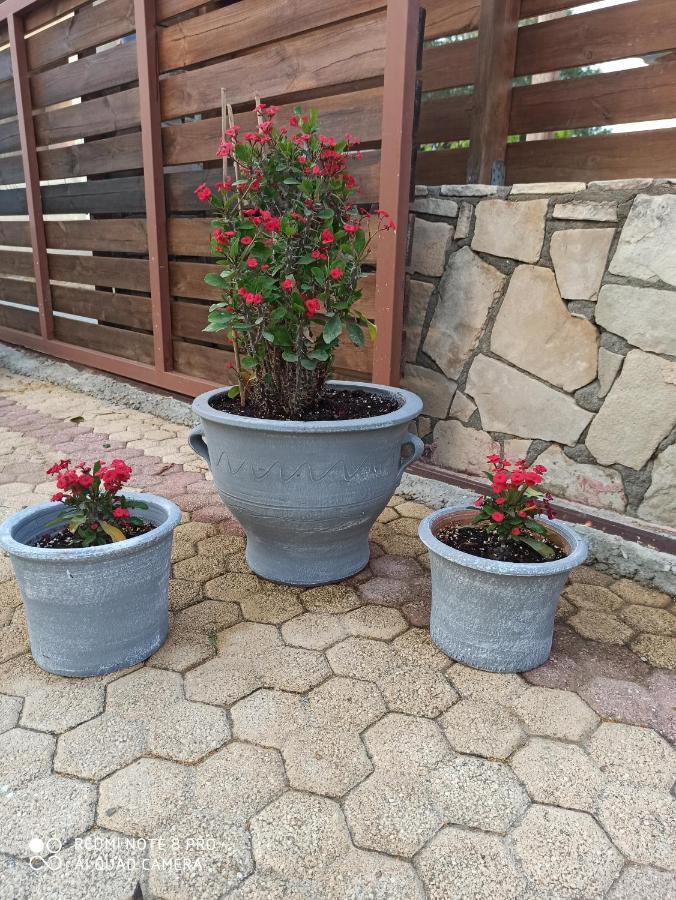 Cactus Home Καλαμάκι Εξωτερικό φωτογραφία
